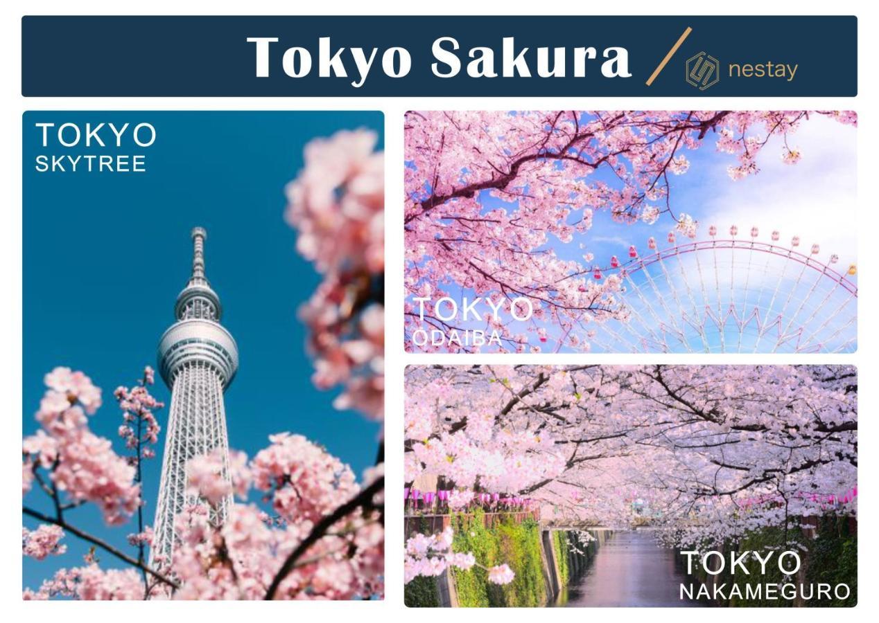 Nestay Inn Tokyo Otsuka 403 Bagian luar foto